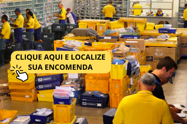 Paraná registra mais casos de dengue